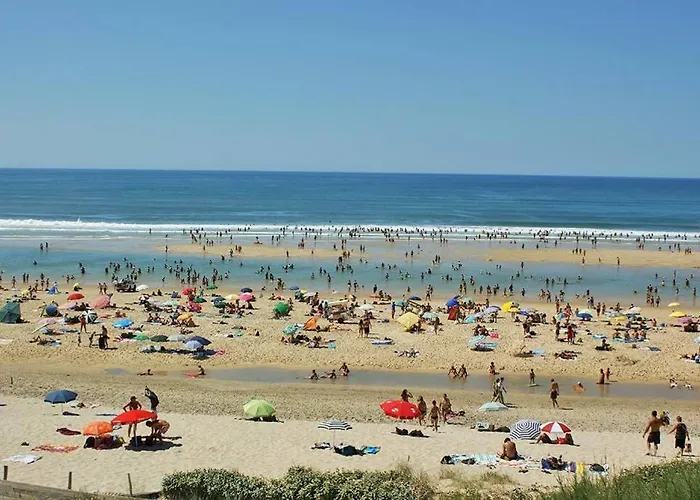 Camping Atlandes - Entre Et Biscarrosse